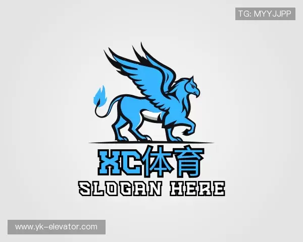 发现XC体育最新地址